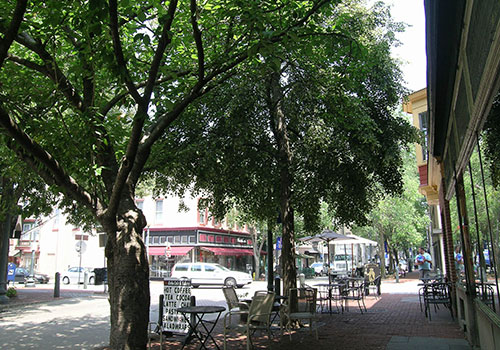 Tree List