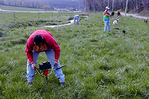 Stream Corridor Restoration