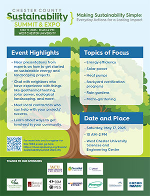 summit flyer