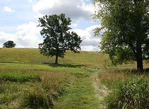 Kirkwood Farm