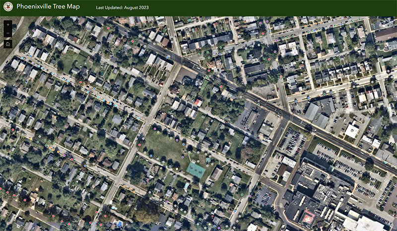 Phoenixville Tree Map